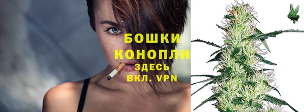 бошки Нея