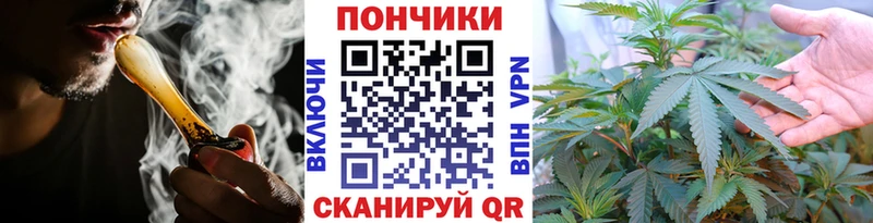 цена   Новоаннинский  Бошки Шишки семена 
